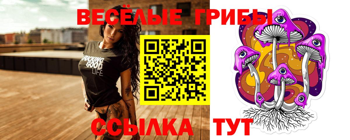 Псилоцибиновые грибы GOLDEN TEACHER  купить закладку  Псилоцибиновые грибы Psilocybine cubensis  Усть-Джегута  Вход с VPN 