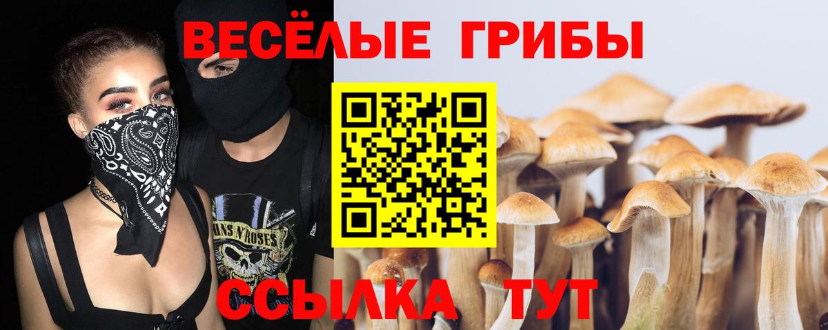Псилоцибиновые грибы GOLDEN TEACHER Усть-Джегута